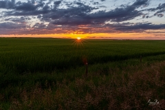 D8504894-Sunset-near-Milk-River-Alberta