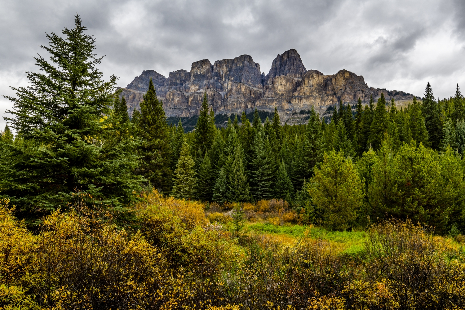 1_D8505605-Castle-Mountain-in-Autumn-Banff-National-Park-Alberta
