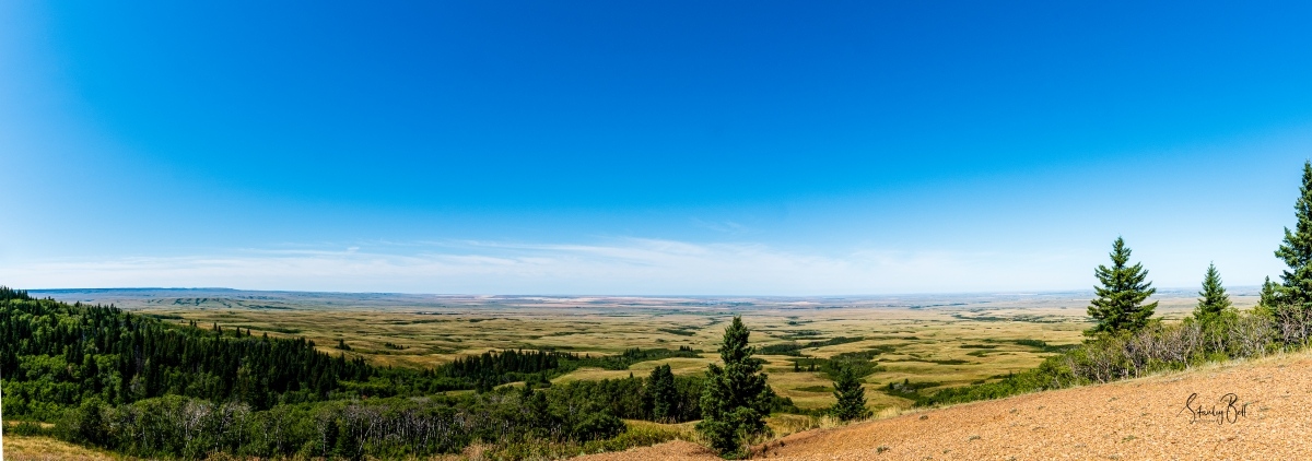 DSC_7186-Panorama-from-Bald-Butte-Cypress-Hills-Saskatchewan