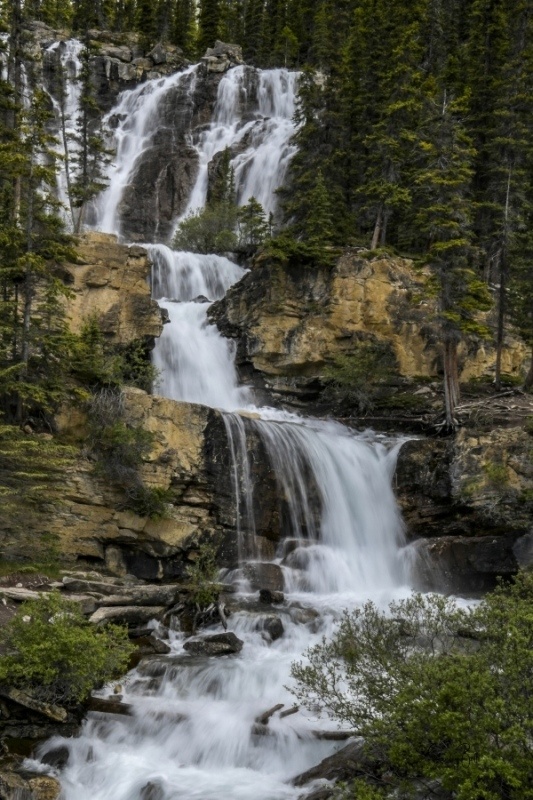 Tangle-Falls-on-the-Icefields-Parkway-Alberta_8502936B
