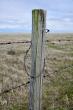 D8506498-Fence-post
