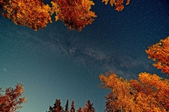 D8505151-Night-Sky-Emma-Lake-Saskatchewan-copy1