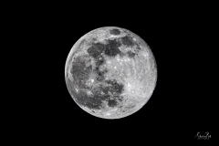 Full Moon in Black and White -D8502407